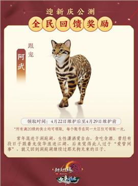 江湖奇侠天龙八部私服